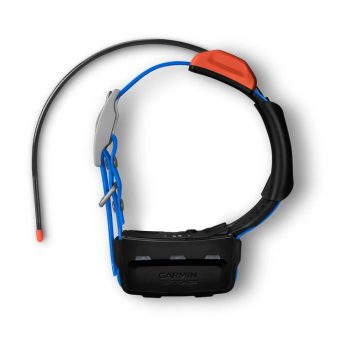 T 5X Dog Collar