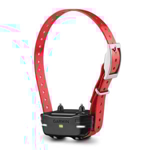 cf lg 155